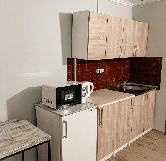 استودیوی استاندارد, Guest House Lviv