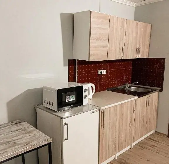 استودیوی استاندارد, Guest House Lviv