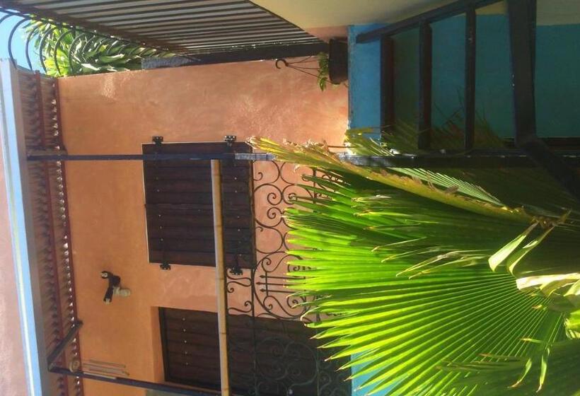 غرفة قياسية مطلّة علي حمام السباحة, La Choza Guesthouse