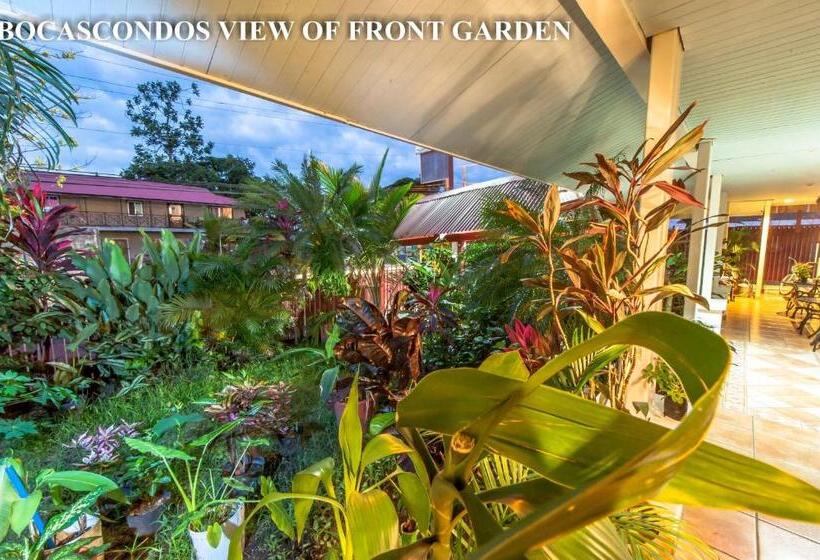 إستوديو قياسى, Aqua Point Condos Rentals