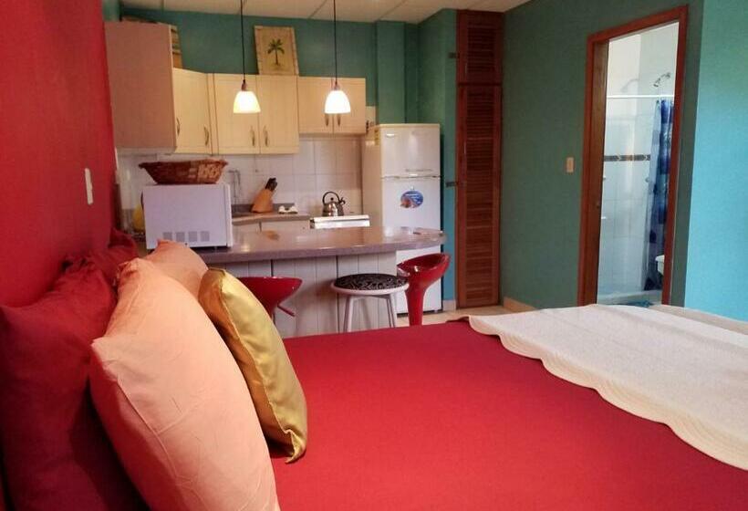 استودیوی استاندارد, Aqua Point Condos Rentals