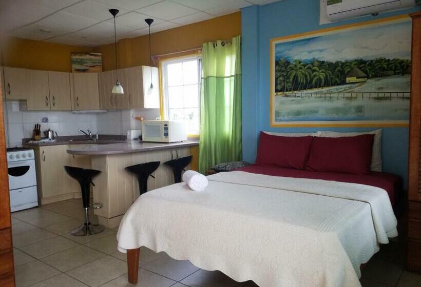 استودیوی استاندارد, Aqua Point Condos Rentals