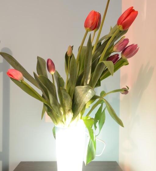 デラックスルーム, Casetta Don Carlino