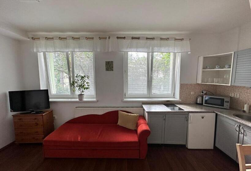 1ベッドルームアパートメント, Apartment Albi