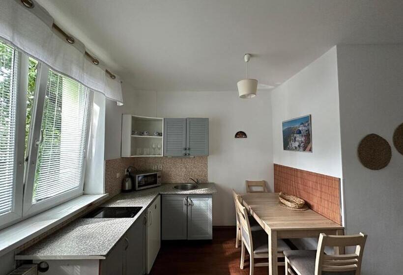 1ベッドルームアパートメント, Apartment Albi