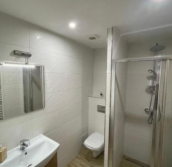 庭の見えるスタンダードトリプルルーム, Apartment Albi