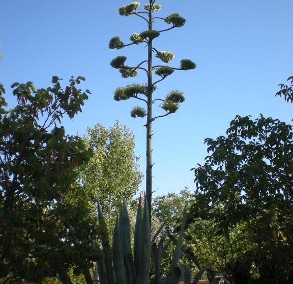 ویلای 2 خوابه, Agriturismo Podere La Cascata