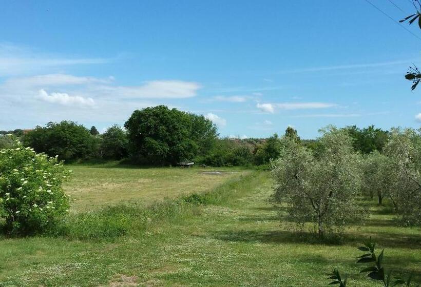 اتاق لوکس, Agriturismo Podere La Cascata