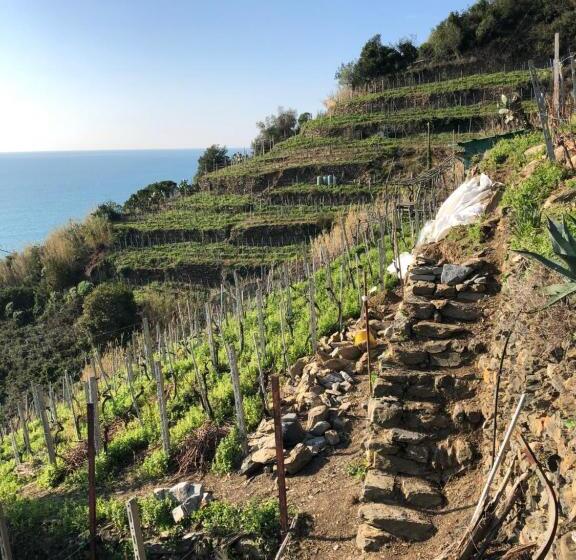 스탠다드 트리플 룸, Zia Letizia Bed And Wine