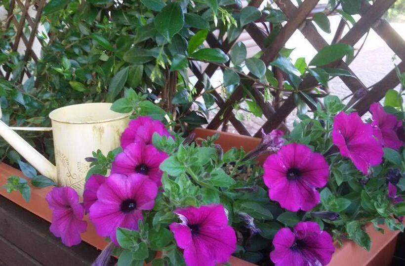 带花园景观的标准洋房, Agriturismo Sa Mendhula