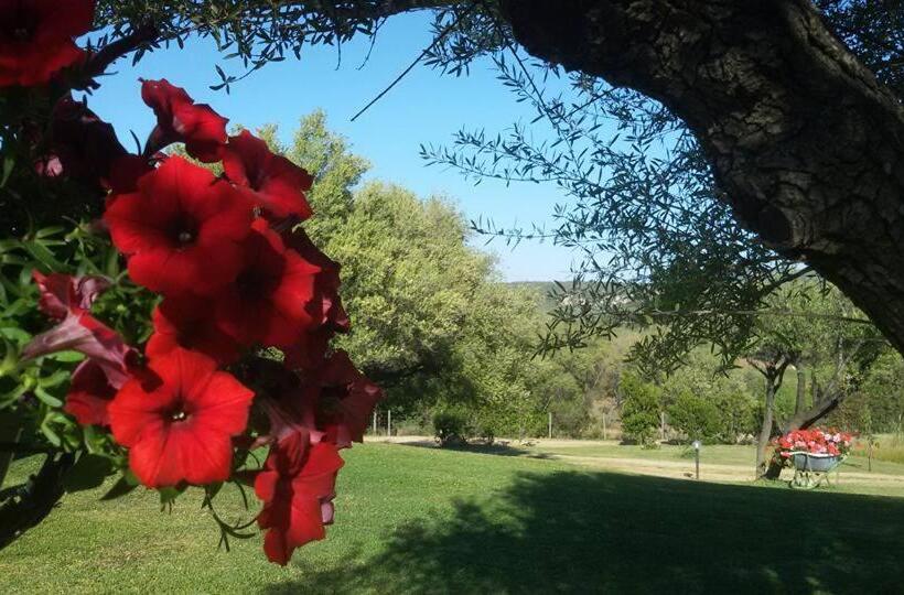 带花园景观的标准洋房, Agriturismo Sa Mendhula