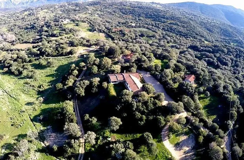 庭の見えるジュニアスイート, Agriturismo Sa Mendhula