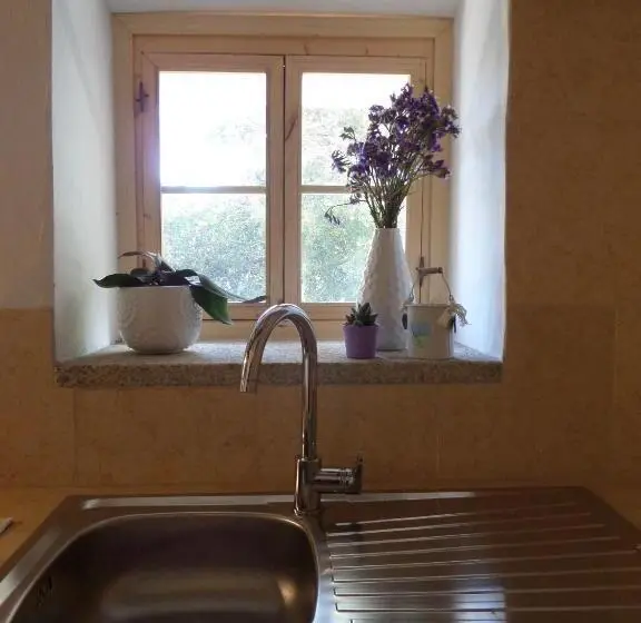 庭の見えるジュニアスイート, Agriturismo Sa Mendhula