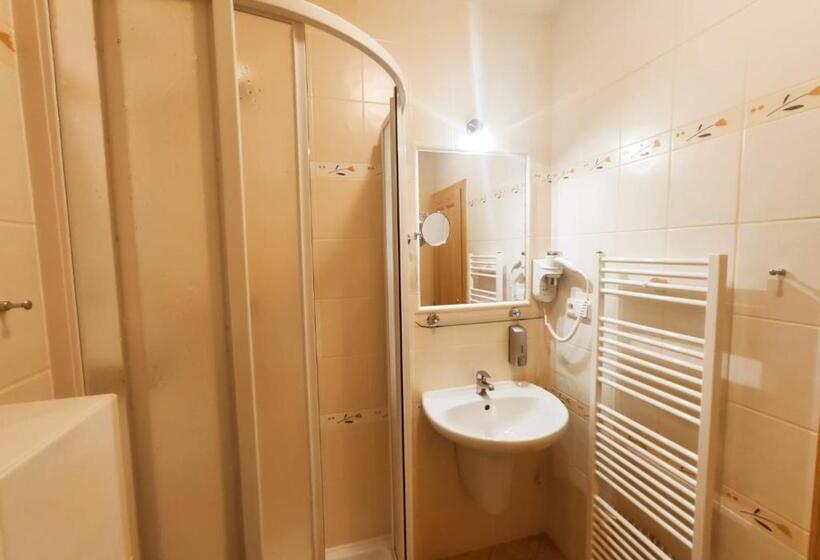 غرفة سوبيريور مطلة على الجبل, Harrachovská Hacienda