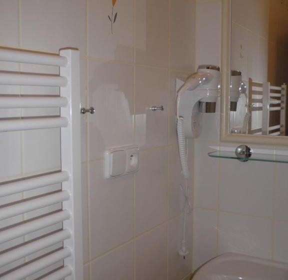 غرفة قياسية سرير كينج, Harrachovská Hacienda