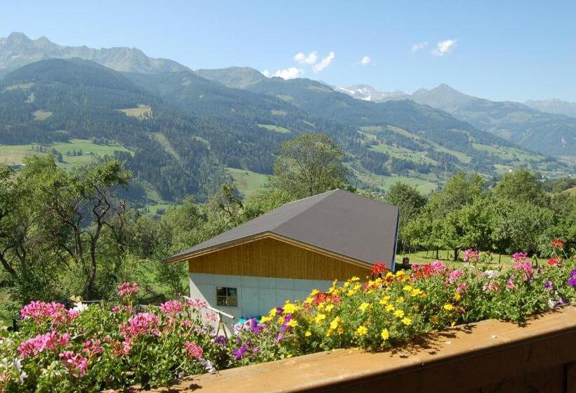 شقة غرفة واحدة مطلة على الحديقة, Großberghof