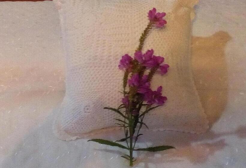 غرفة ديلوكس, La Petite France