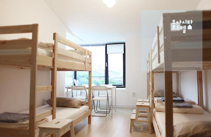ルームシェアのワンベッド, Oasita Hostel