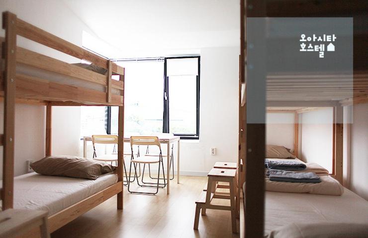 ルームシェアのワンベッド, Oasita Hostel