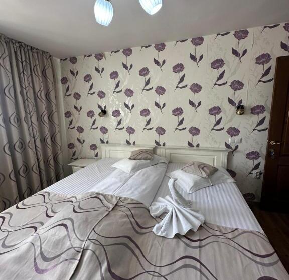 غرفة قياسية, Pensiunea Casa Simoni