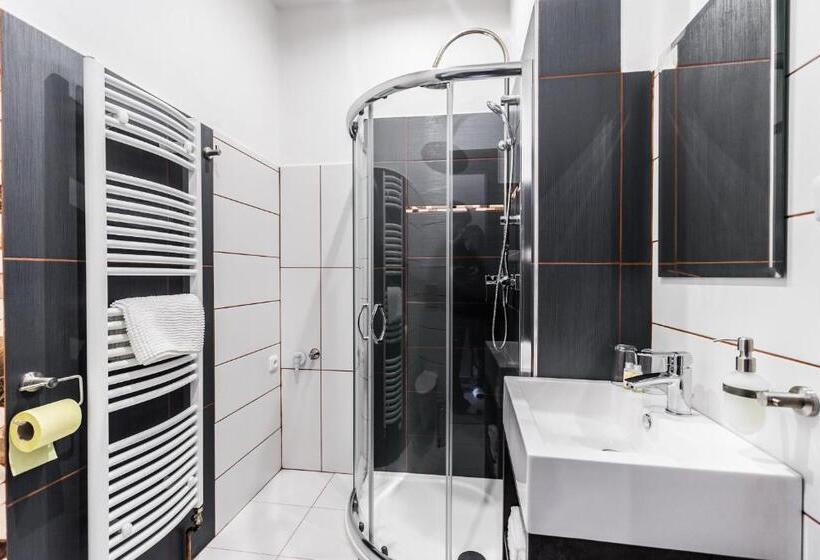 デラックスルーム, Apartments Benešova 6