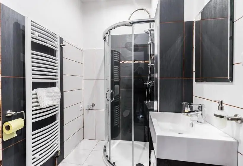 デラックスルーム, Apartments Benešova 6