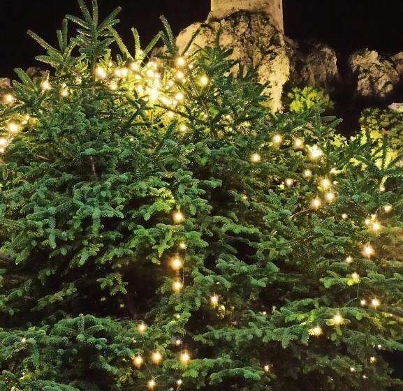 Номер Deluxe с Видом, La Jarana Casa