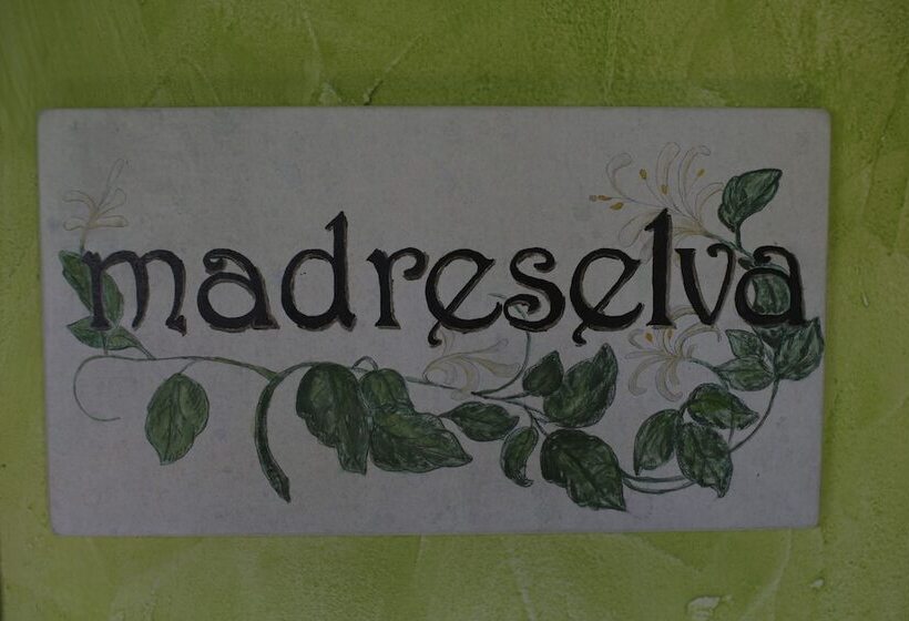 Номер Стандарт с Террасой, La Jarana Casa