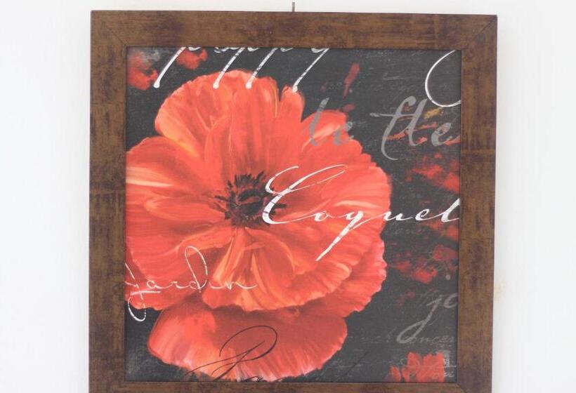 جناح, Casarão Da Ducha Hotel Concept