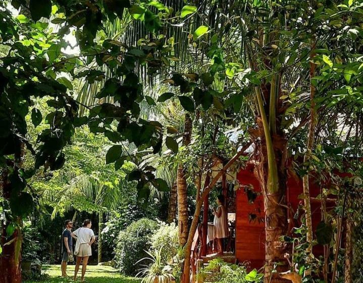 スタンダードルーム, The Green Station