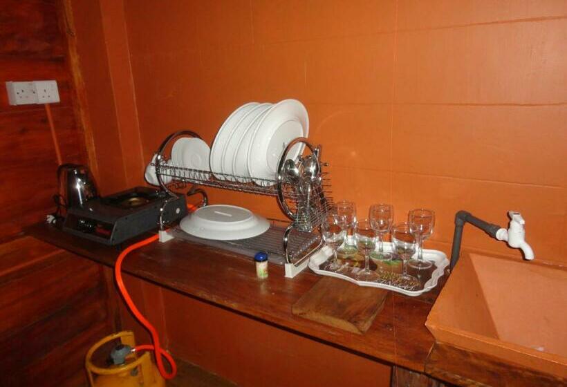 スタンダードルーム, The Green Station