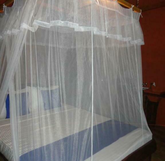 スタンダードルーム, The Green Station