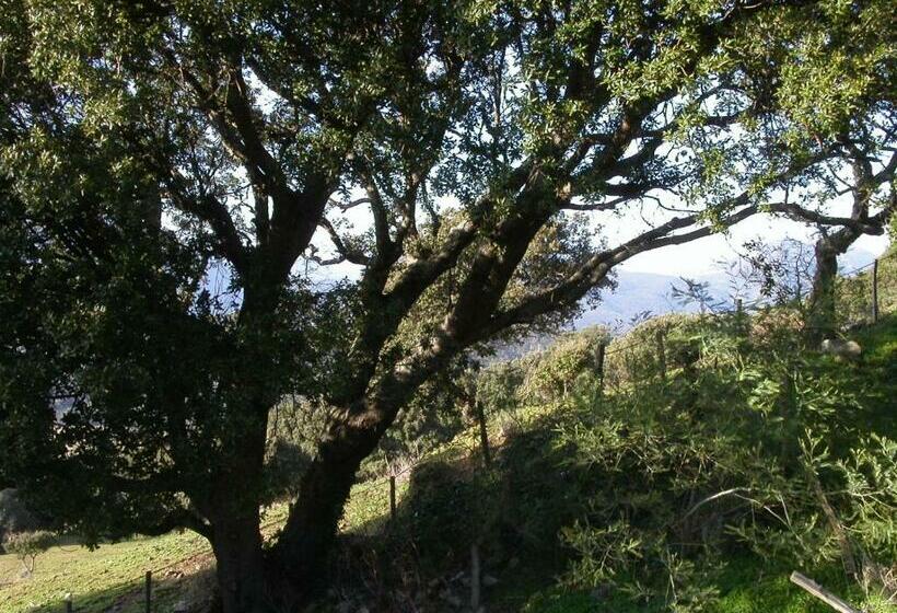 اتاق استاندارد, Maison D'hôtes De Charme De Croccano