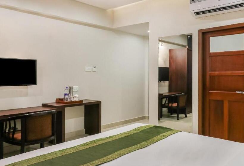 اتاق استاندارد, Treebo Casino