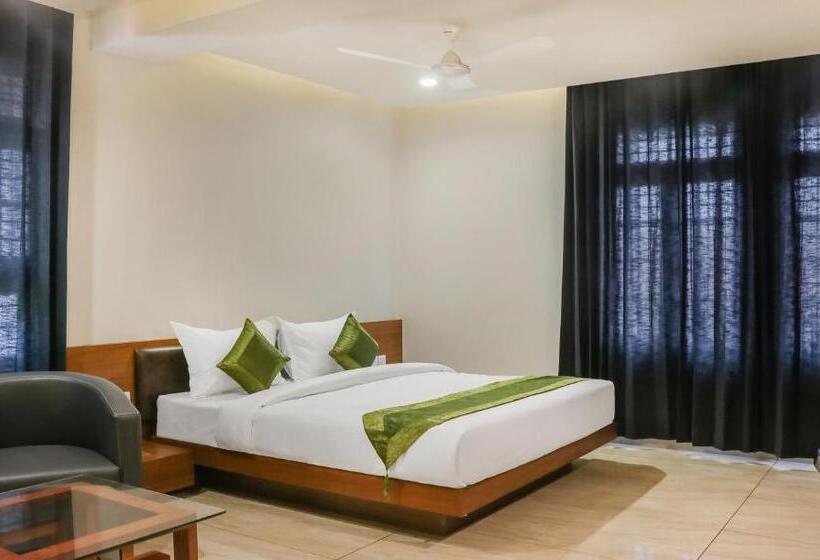 اتاق لوکس, Treebo Casino