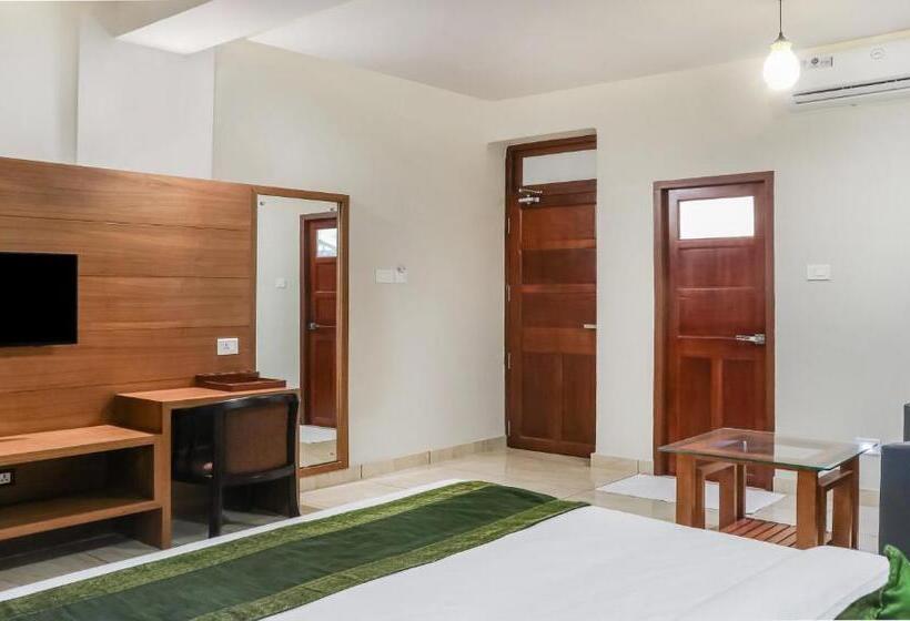 اتاق لوکس, Treebo Casino