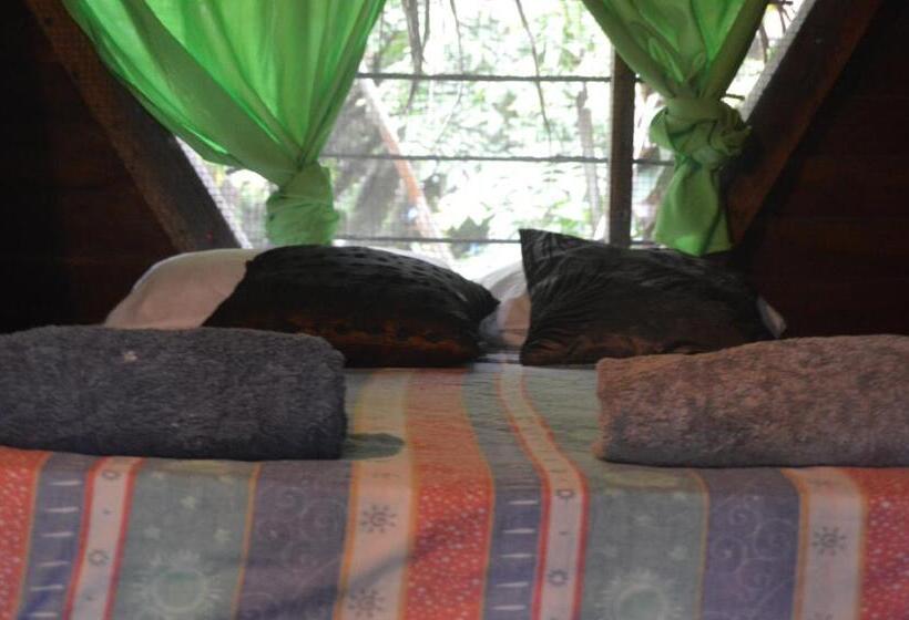 스탠다드 룸, Beverly's Hill Guest House