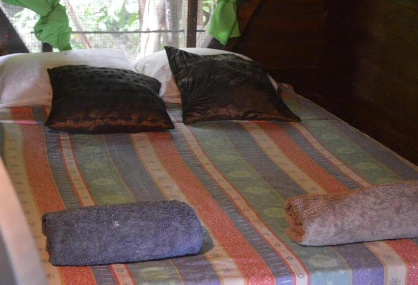 스탠다드 룸, Beverly's Hill Guest House