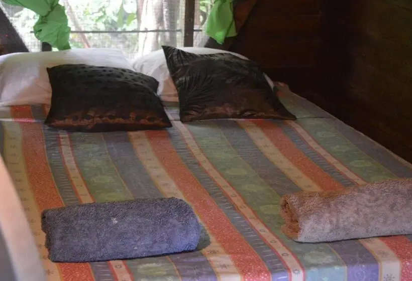 اتاق استاندارد, Beverly's Hill Guest House