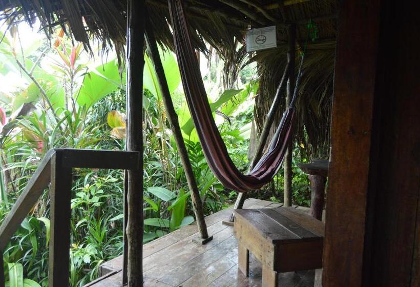 스탠다드 싱글 룸, Beverly's Hill Guest House