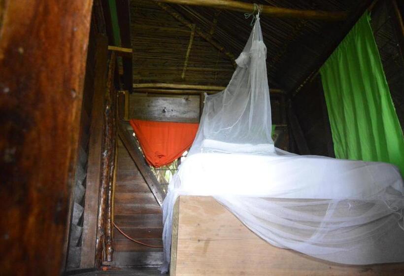 스탠다드 싱글 룸, Beverly's Hill Guest House