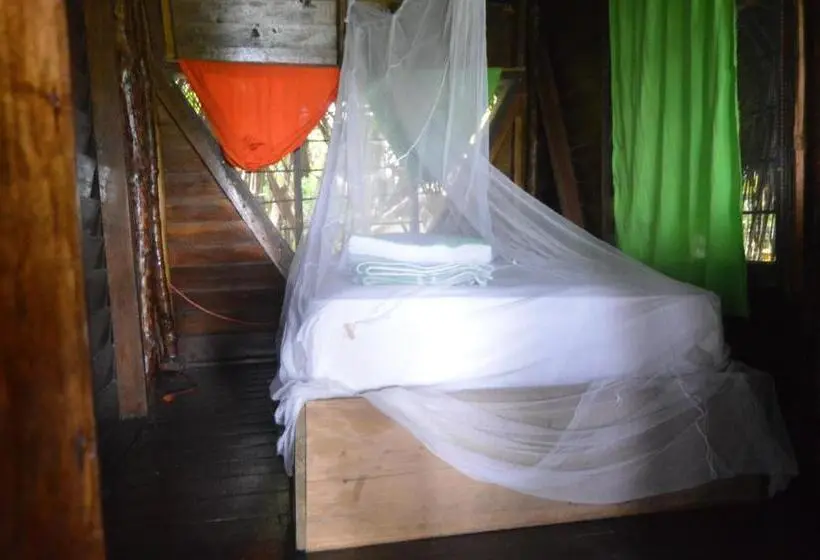 اتاق استاندارد یک نفره, Beverly's Hill Guest House