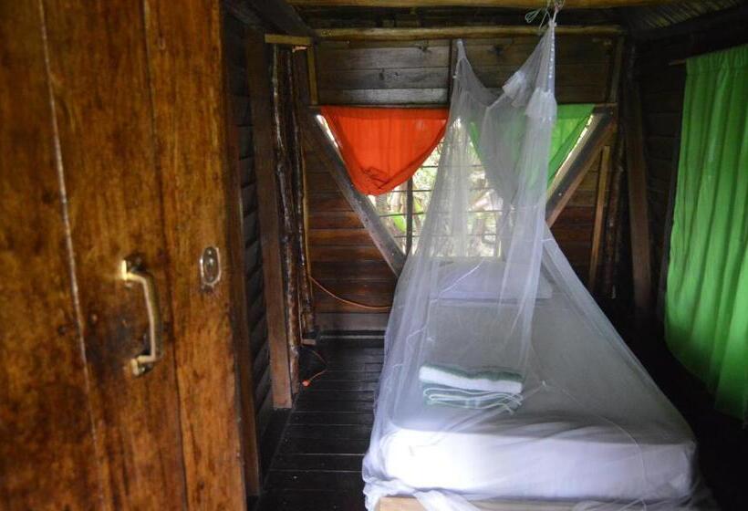 스탠다드 싱글 룸, Beverly's Hill Guest House