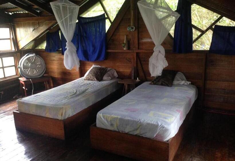 Номер Стандарт, Beverly's Hill Guest House