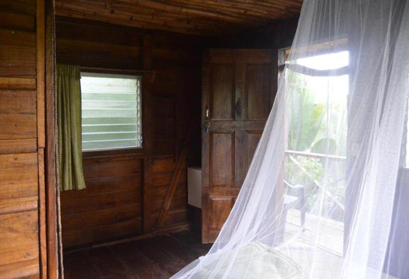 Люкс, Beverly's Hill Guest House