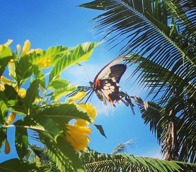 바다 전망 스위트, Beach House Cambodia