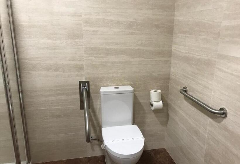 غرفة قياسية لذوى الاحتياجات الخاصة, Pensión Che