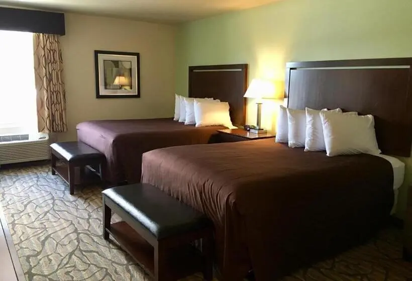 デラックスルーム, Aspen Suites Hotel Homer