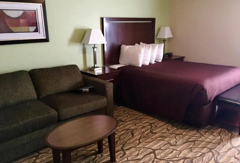 シングルデラックスルーム, Aspen Suites Hotel Homer