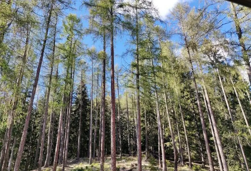 Perhehuone Vuoristonäkymä, Ganzaie